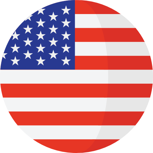 American flag Icon
